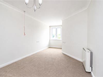 Picture 7